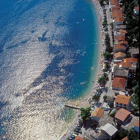 Beachfront * 伯德古拉